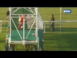 Video preview image for Newmarket 20:00 - Oma (West Africa) Shipping & Logistics Handicap