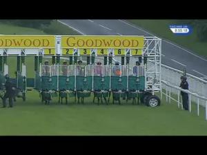 Video preview image for Goodwood 20:55 - Basement Jaxx Stakes (Handicap)