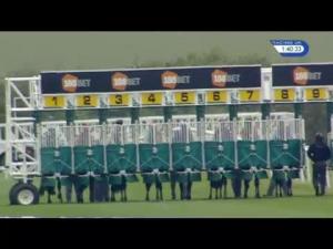 Video preview image for Newmarket 13:40 - Royal Ascot Betting At 188Bet EBF Stallions Novice Stakes (Plus 10)
