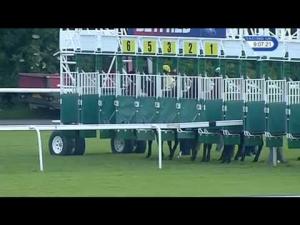 Video preview image for Haydock Park 21:05 - Betfred Win Racecourse Tickets On Twitter Maiden Stakes
