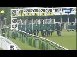 Video preview image for Salisbury 15:10 - New Forest Farm MacHinery/john Deere Auction Stakes (Plus 10)