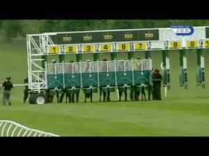 Video preview image for Newmarket 14:30 - Countryside Alliance Handicap