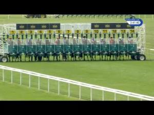 Video preview image for Newmarket 15:40 - discovernewmarket.co.uk Maiden Stakes