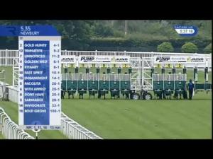 Video preview image for Newbury 17:35 - Pump Technology Handicap (Str)
