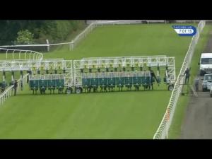 Video preview image for Hamilton Park 19:00 - Jordan Electrics Selling Handicap