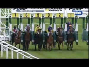 Video preview image for Newbury 20:20 - Lee San Marine Sanitation Handicap