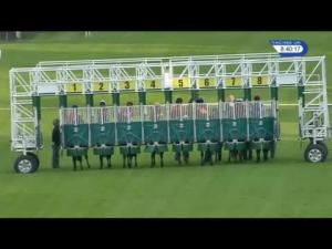 Video preview image for Hamilton Park 20:40 - Patersons Of Greenoakhill Handicap