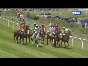 Video preview image for Cartmel 14:30 - Cumbria Grand Hotel At Grange Handicap Hurdle