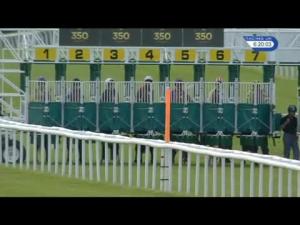 Video preview image for Newmarket 18:20 - British Stallion Studs EBF Novice Fillies' Stakes (Plus 10)