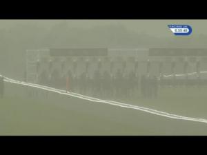 Video preview image for Newmarket 18:55 - Goodwin Malatesta 10th Anniversary Handicap