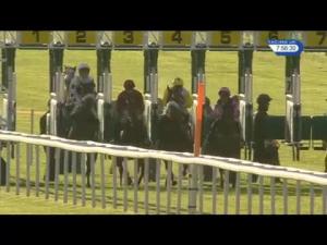 Video preview image for Newmarket 19:55 - EBF Stallions Fillies' Conditions Stakes