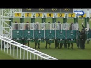Video preview image for Newmarket 21:00 - discovernewmarket.co.uk Handicap