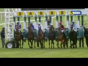 Video preview image for Newmarket 17:00 - Treasure Beach Hotel Supporting The Aht Handicap