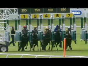 Video preview image for Newmarket 17:35 - Betsi Golden Mile EBF Stallions Fillies' Handicap