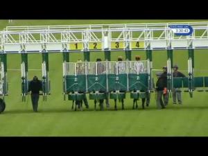 Video preview image for Hamilton Park 15:30 - EBF Stallions Soba Conditions Stakes