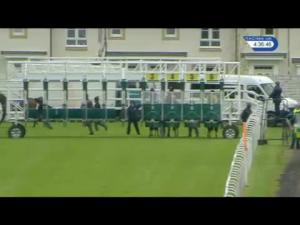 Video preview image for Hamilton Park 16:30 - racinguk.com Maiden Stakes