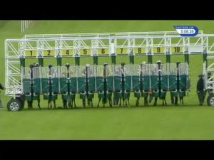 Video preview image for Hamilton Park 17:00 - High Definition Racing UK Handicap