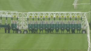 Video preview image for Catterick Bridge 14:00 - ebfstallions.com Novice Median Auction Stakes