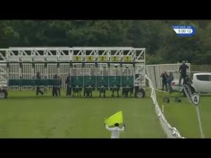 Video preview image for Catterick Bridge 17:00 - 188Bet Handicap