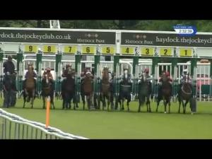 Video preview image for Haydock Park 14:30 - Pilkington Glass EBF Stallions Novice Stakes (Plus 10)