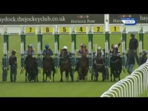 Video preview image for Haydock Park 16:00 - Tuffx Glass EBF Stallions Novice Stakes (Plus 10)