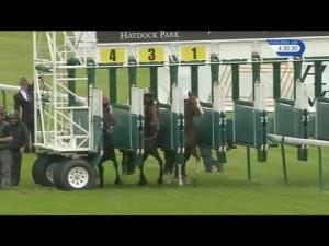 Video preview image for Haydock Park 16:30 - Bohle 20th Anniversary Handicap