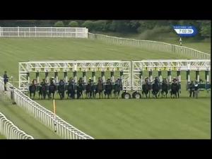 Video preview image for Newbury 19:00 - Ronald Phillips Novice Stakes (Plus 10)