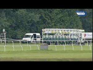 Video preview image for Newbury 19:30 - Pelican Handicap