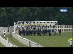 Video preview image for Newbury 20:35 - Denford Stud Handicap (Str)