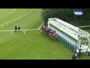 Video preview image for Sandown Park 14:20 - Racing Welfare Stable Staff 'Palacegate Touch' Handicap