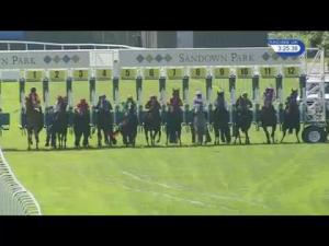 Video preview image for Sandown Park 15:25 - Longines Irish Champions Weekend EBF Maiden Stakes