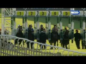 Video preview image for Beverley 19:45 - Hodgson Sealants Handicap