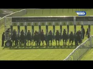 Video preview image for Haydock Park 20:00 - Longines Irish Champions Weekend EBF Maiden Stakes (Plus 10)