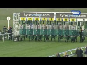 Video preview image for Beverley 20:15 - Steve Fenwick (Regy) Memorial (Beverley Middle Distance Series) Handicap