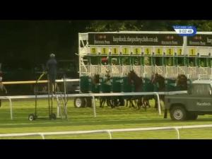 Video preview image for Haydock Park 21:00 - Betfred 'Visit Our Shops On-course' Maiden Stakes