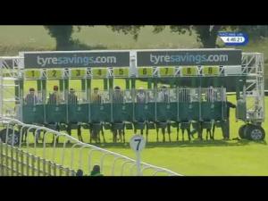 Video preview image for Beverley 16:45 - Eltherington Handicap