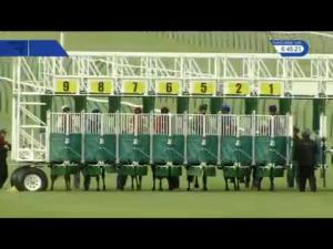 Video preview image for Nottingham 18:45 - Catherine and David Duric Retirement Handicap