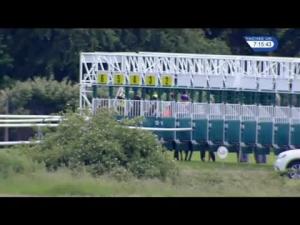Video preview image for Nottingham 19:15 - Blackjack Aces Jackpot Classified Stakes