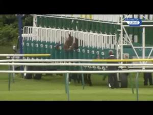 Video preview image for Ayr 14:25 - Totequadpot Insure Your Last Four EBF Maiden Stakes