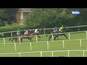 Video preview image for Market Rasen 14:35 - mannybernstein.co.uk Novices' Chase