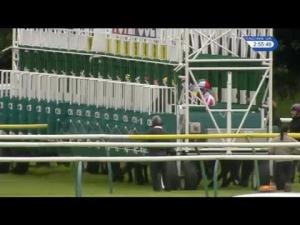 Video preview image for Ayr 14:55 - Totequadpot Four Places In Four Races Handicap