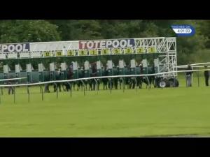 Video preview image for Ayr 16:00 - Totequadpot Available On All UK Meetings Handicap