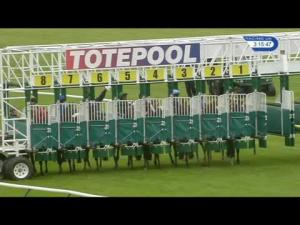 Video preview image for Ayr 15:15 - Follow At racing_UK On Twitter Handicap