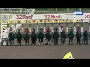 Video preview image for Kempton Park 19:45 - Leonard Curtis Handicap