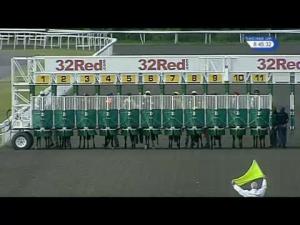 Video preview image for Kempton Park 20:45 - 32Red Casino Handicap