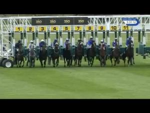 Video preview image for Newmarket 17:30 - Plusvital Sir Henry Cecil Stakes (Listed) (Formerly The Stubbs Stakes)
