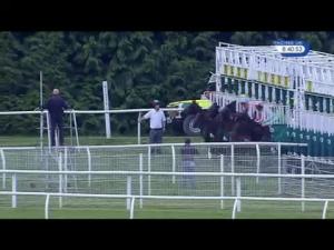 Video preview image for Newbury 20:40 - Donnington Grove Veterinary Surgery Handicap