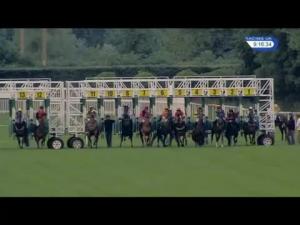 Video preview image for Newbury 21:10 - Premier Food Courts Handicap (Str)
