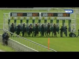 Video preview image for York 13:50 - Coopers Marquees Irish Stallion Farms EBF Maiden Stakes (Plus 10)