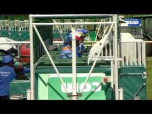 Video preview image for Newmarket 14:40 - John Banks Infiniti Cambridge Handicap